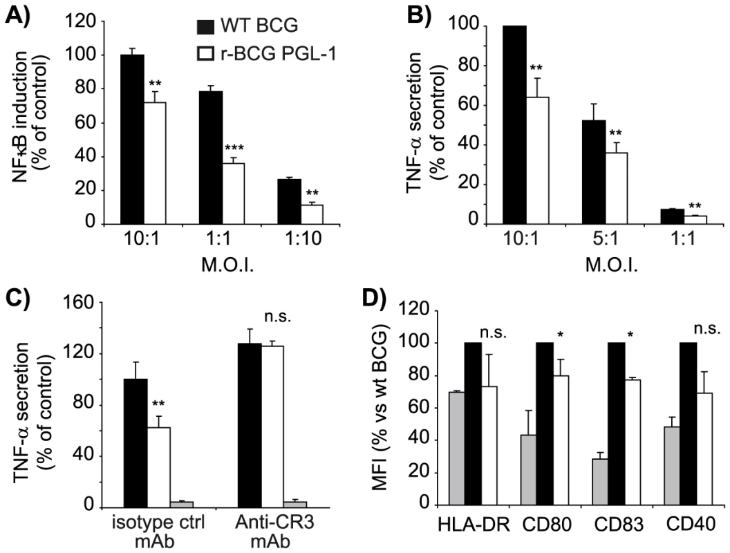 PGL-1 production impairs the initiation of innate immune responses.