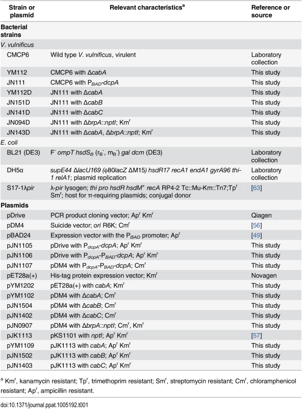 Bacterial strains and plasmids used in this study.