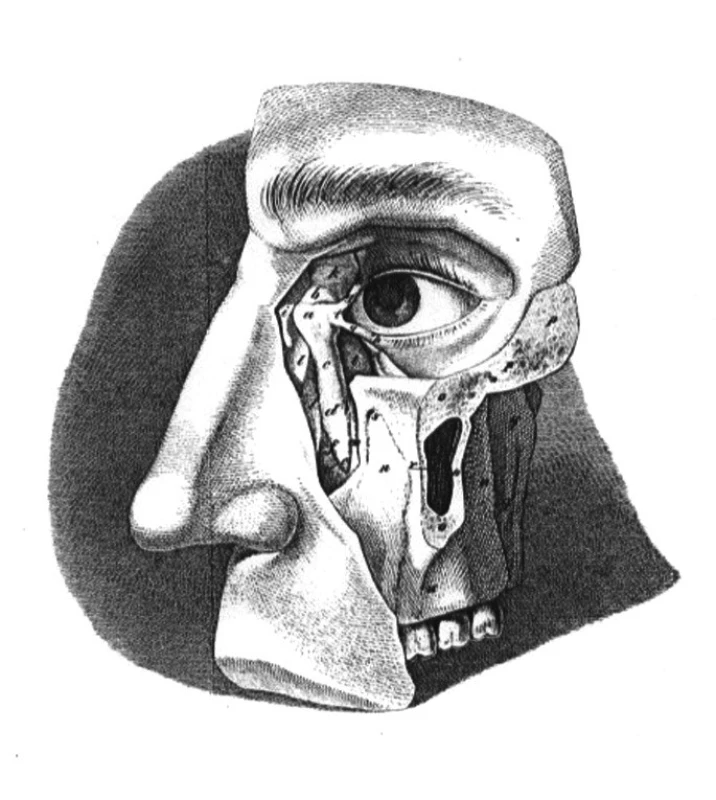 Ilustrace z učebnice J. N. Fischera