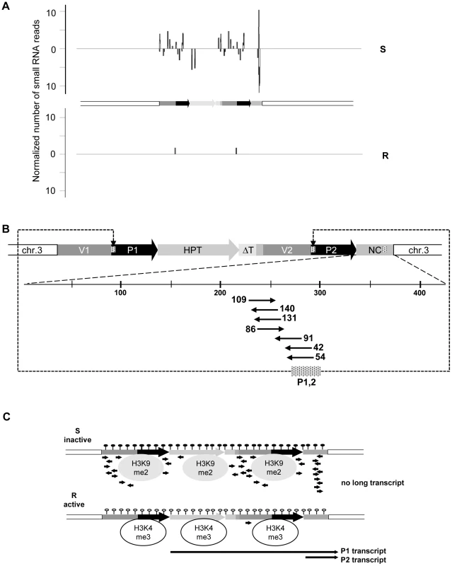 Epialleles differ in small RNA reads.