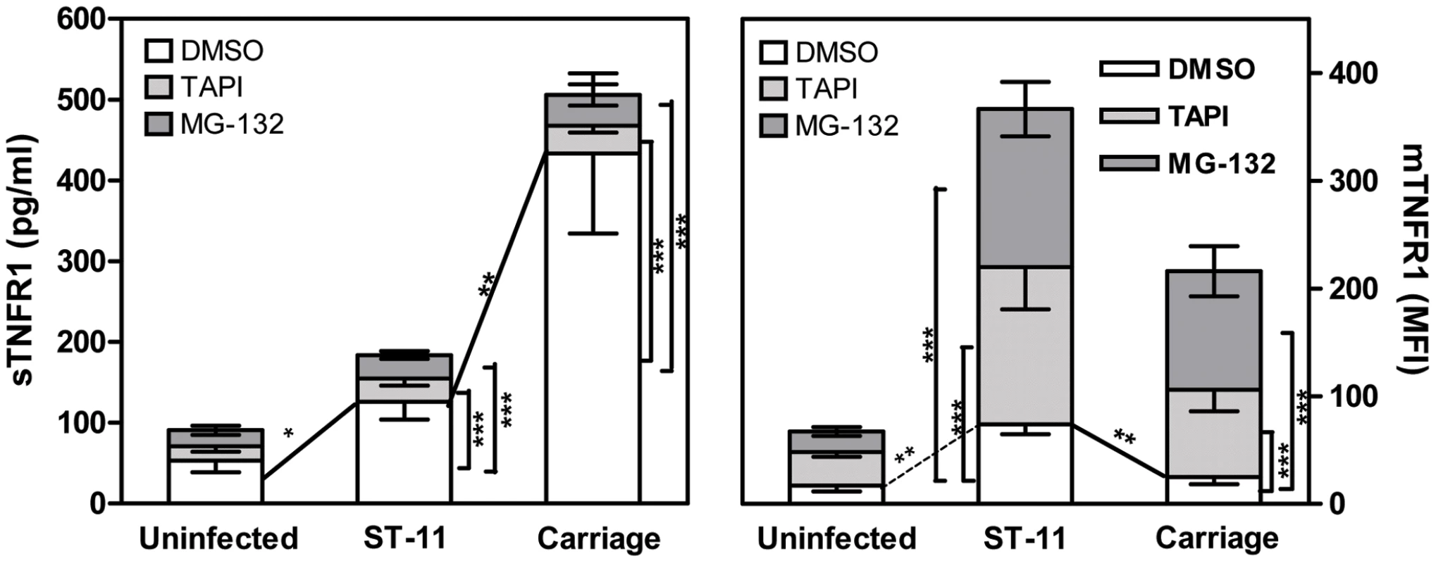 Role of TACE/ADAM17 and NF-κB activation in cell surface expression and shedding of TNFR1.