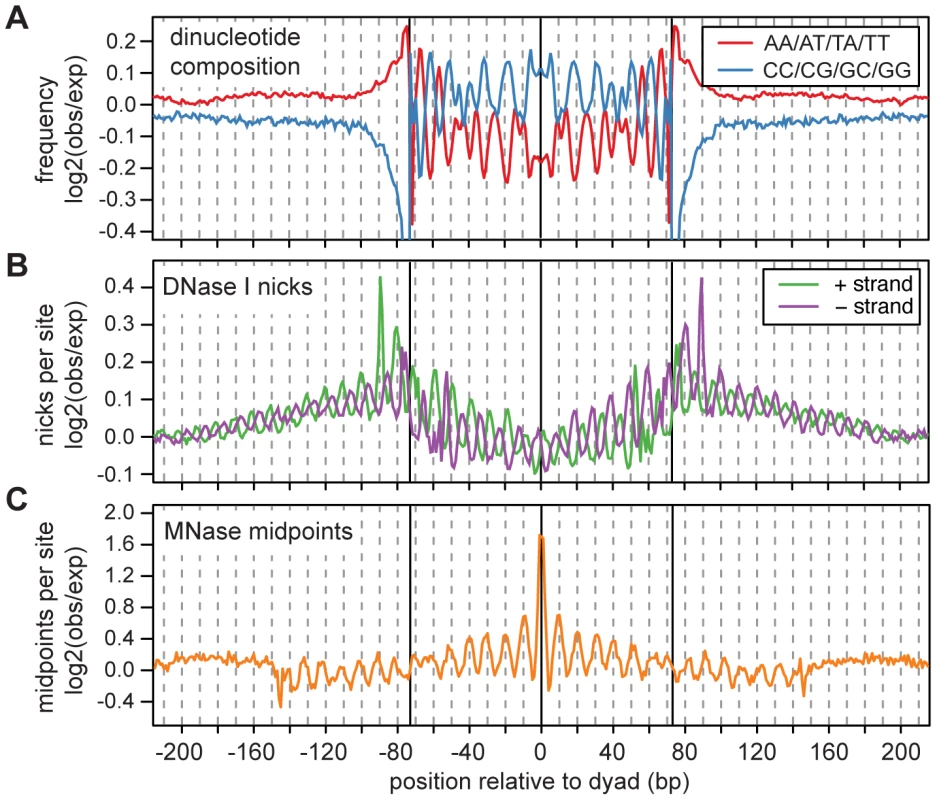 Fine scale characteristics of nucleosome sequences.