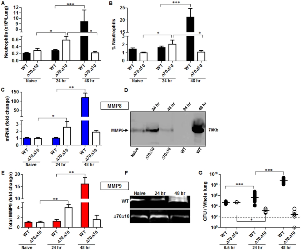 Bacterial propagation and neutrophil infiltration to the lungs following airways infection of mice with <i>Y</i>. <i>pestis</i> strains.
