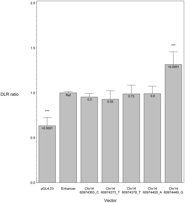 <i>In vitro</i> luciferase assay results showing the effect of <i>SIX6</i> enhancer variants.