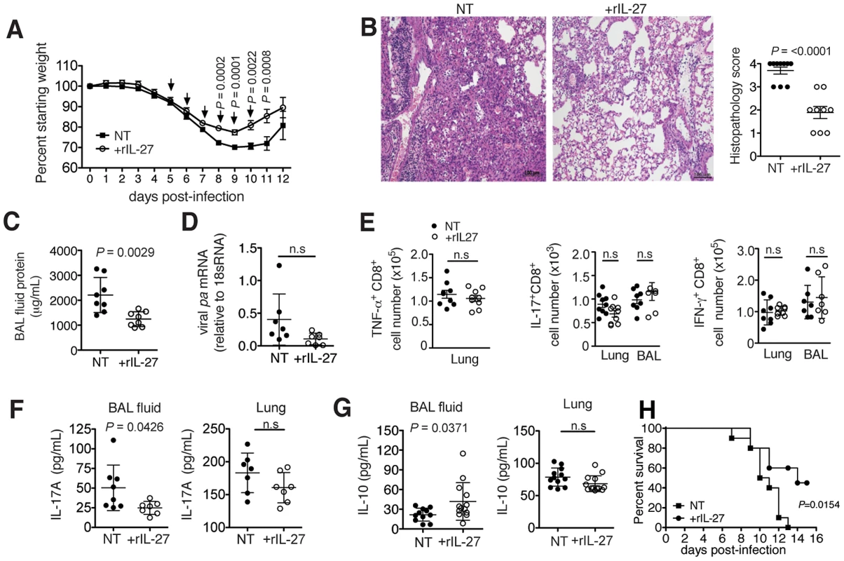 Late-phase treatment with rIL-27 alleviates lung immunopathology.