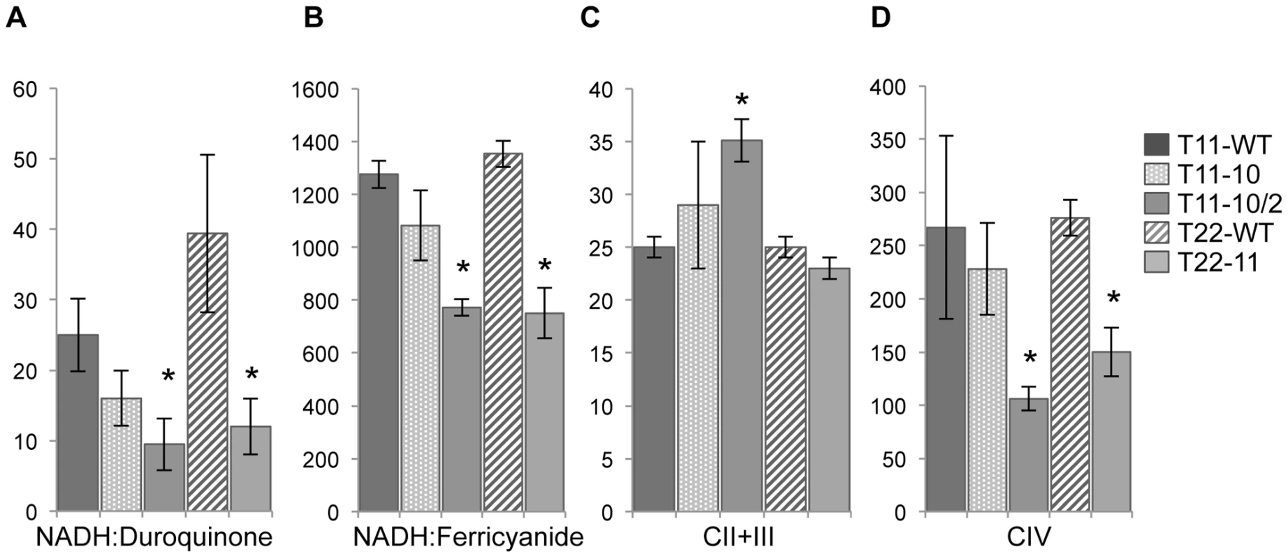 Respiratory enzyme activities of T11-10, T11-10/2, and T22-11 transformants.