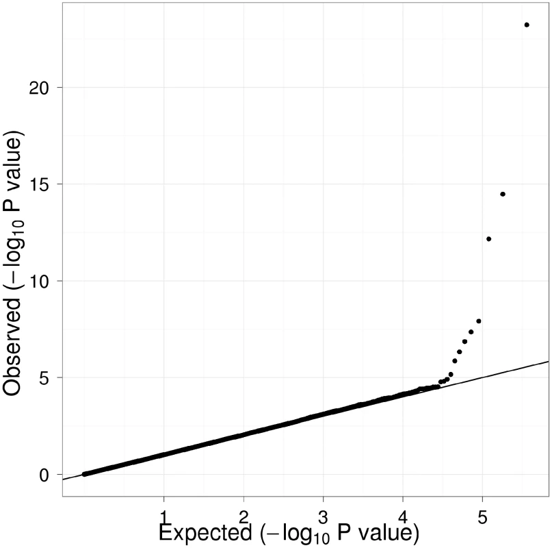 Q-Q plot of genome-wide P values for association with Lp-PLA<sub>2</sub> activity.