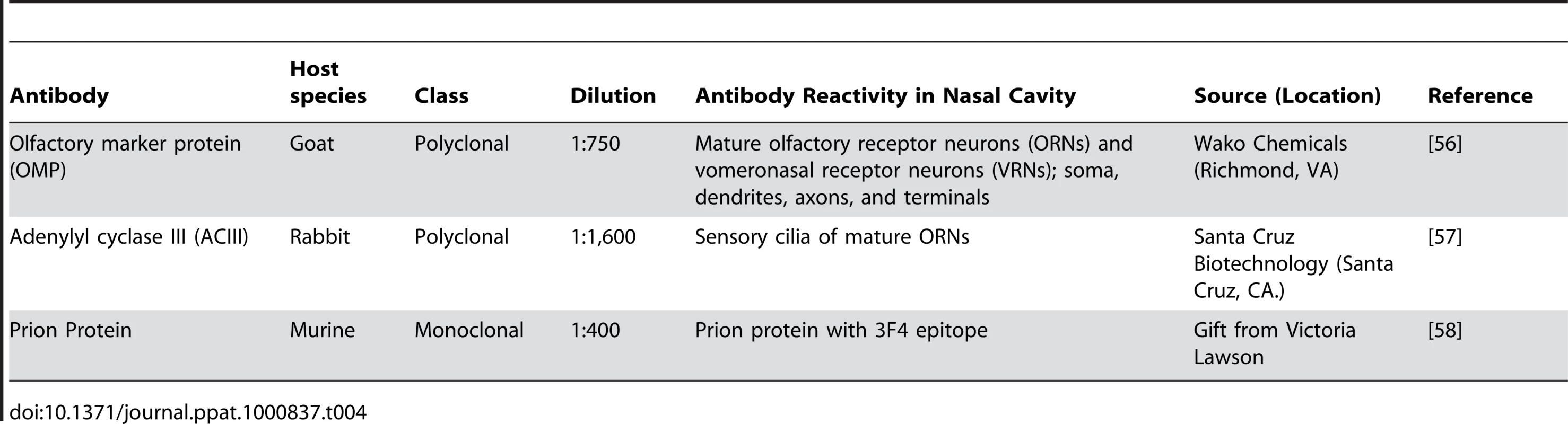 Primary antibodies used to investigate HY TME infection in olfactory mucosa by laser scanning confocal microscopy.