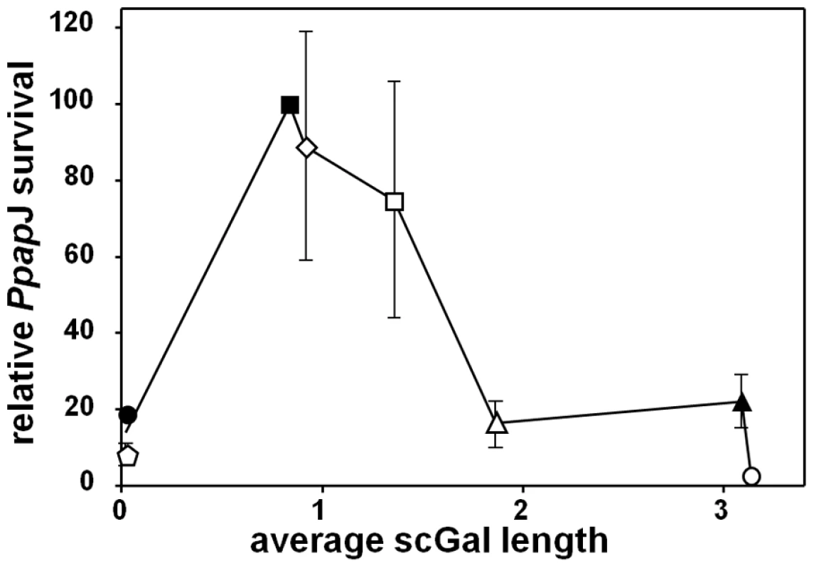 Relationship between <i>L. major</i> scGal-LPG PAMPs and <i>Ppap</i>J midgut survival post-blood meal expulsion.