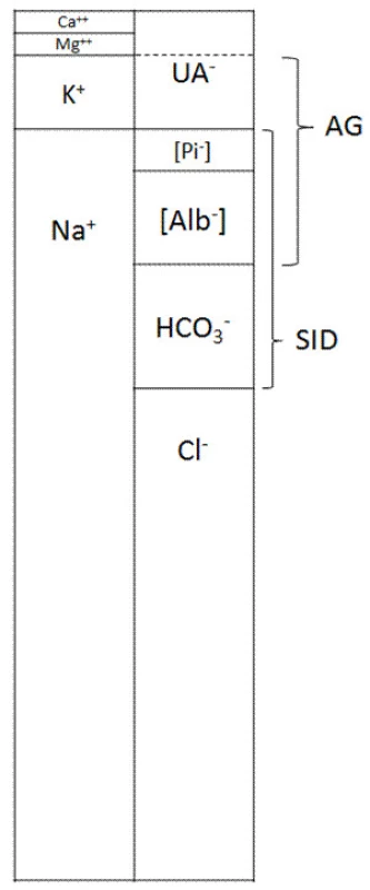 Princip elektroneutrality. Součet plazmatických kationtů je vždy roven součtu plazmatických aniontů. Tradiční přístup hodnotí metabolickou složku acidobázické rovnováhy podle hodnoty [HCO<sup>3-</sup>]. Stewartův Fenclův přístup naopak vychází z principu elektroneutrality a považuje [HCO3-] za hodnotu závislou na koncentraci všech ostatních iontů plazmy. [HCO<sup>3-</sup>] se tedy nemůže měnit sama o sobě, ale tehdy a jen tehdy, když se změní koncentrace kteréhokoli jiného iontu v obr. 1, a to bez ekvimolární změny iontu s opačným nábojem.  SID (strong ion difference) = [Na<sup>+</sup>] + [K<sup>+</sup>] + [Ca<sup>2+</sup>] + [Mg<sup>2+</sup>] – [Cl<sup>-</sup>] – [UA<sup>-</sup>]; dle Fencla lze spočítat nepřímo jako součet aniontů slabých kyselin: SID =  [HCO<sup>3-</sup>] + [Alb<sup>-</sup>] + [Pi<sup>-</sup>]. AG (anion gap, aniontová mezera) = [Na<sup>+</sup>] + [K<sup>+</sup>] – [Cl<sup>-</sup>] – [HCO<sup>3-</sup>]. Z aniontové mezery usuzujeme při tradičním přístupu na koncentraci aniontů silných kyselin které běžně nestanovujeme [UA<sup>-</sup>], ale s nepřesnostmi, protože v sobě zahrnuje i anionty slabých neprchavých kyselin [Alb<sup>-</sup>] a [Pi<sup>-</sup>], což v případě jejich odchylek od normy vede k falešné hodnotě AG. Korigujeme-li vypočtenou hodnotu AG na [Alb<sup>-</sup>] a [Pi<sup>-</sup>], dospějeme k hodnotě [UA<sup>-</sup>]. Přerušovaná čára v oblasti [UA<sup>-</sup>] znázorňuje příspěvek [Ca<sup>2+</sup>] + [Mg<sup>2+</sup>], na nějž se AG v praxi nekoriguje.