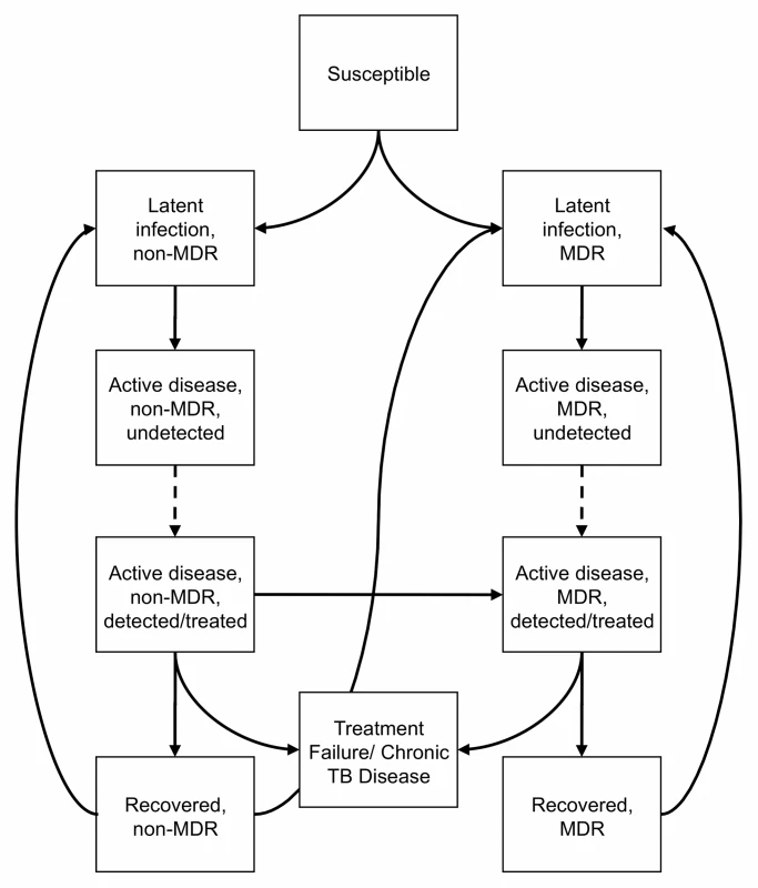 Natural history, diagnosis, and treatment of TB.