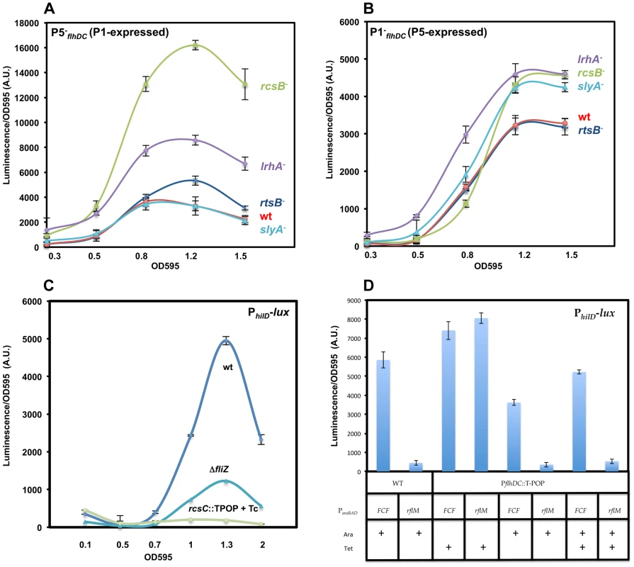Effects of RcsB, LrhA, RtsB and SlyA on transcription of P1<i><sub>flhDC</sub></i> and P5<i><sub>flhDC</sub></i>.