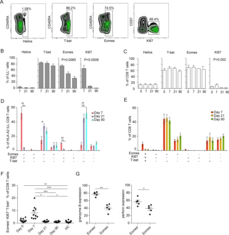Transcription factor profile of TBEV-specific cells.