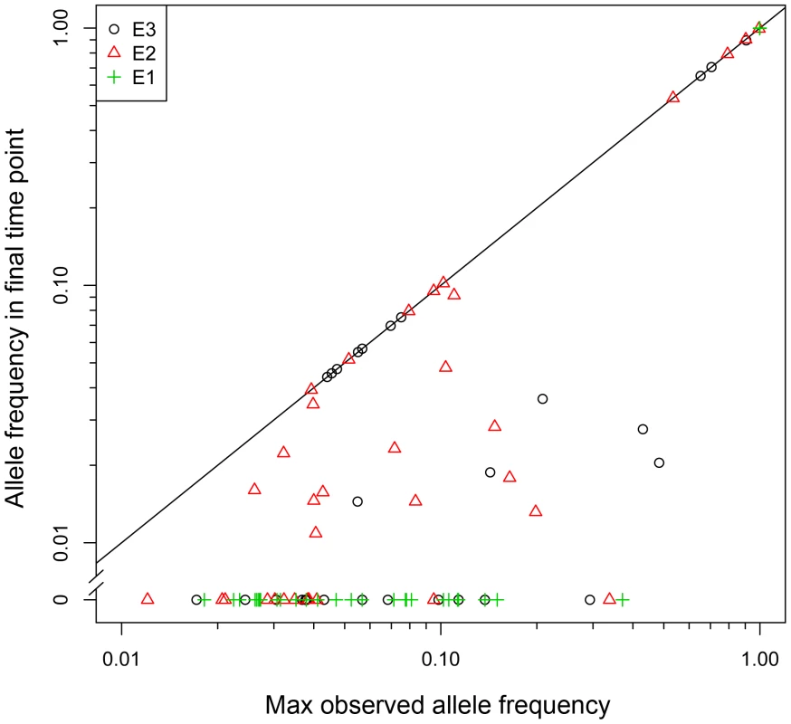 Clonal interference plays a prominent role in the dynamics of adaptation.