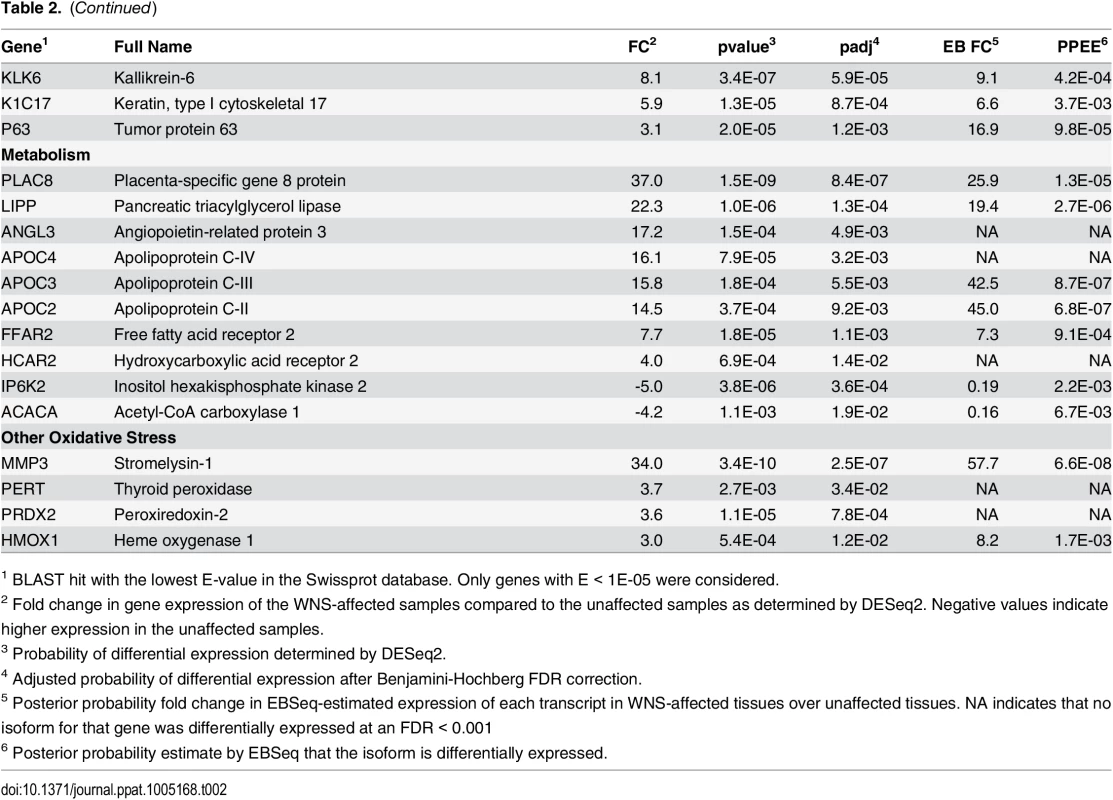 Selected genes differentially expressed in WNS-affected tissues.
