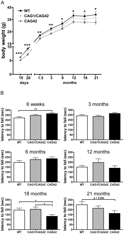 A constant weight reduction and a late-onset deficit in a cerebellar test paradigm.