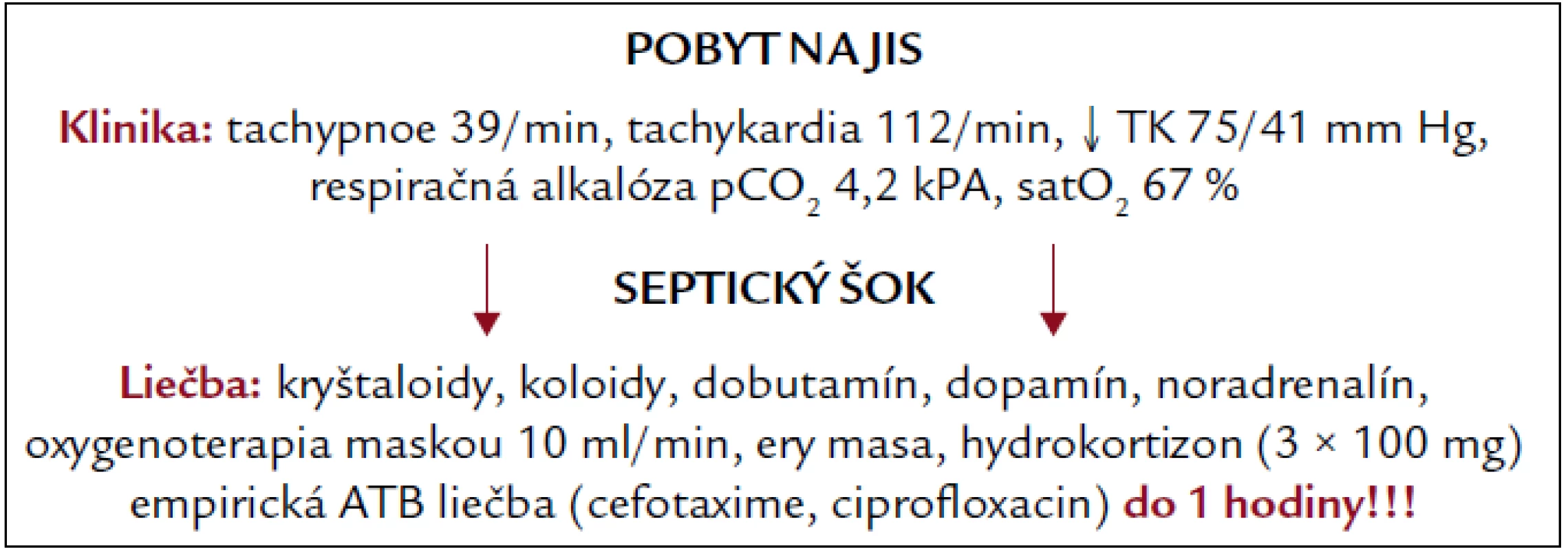 Pobyt na JIS.
