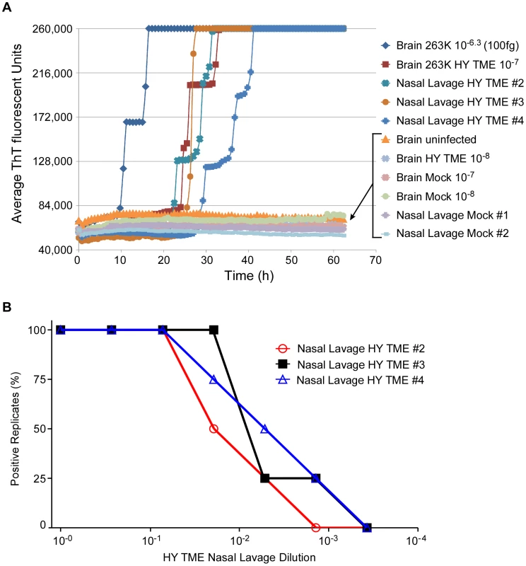 RT-QuIC detection and end point dilution analysis of nasal lavages from HY-TME-infected hamsters.