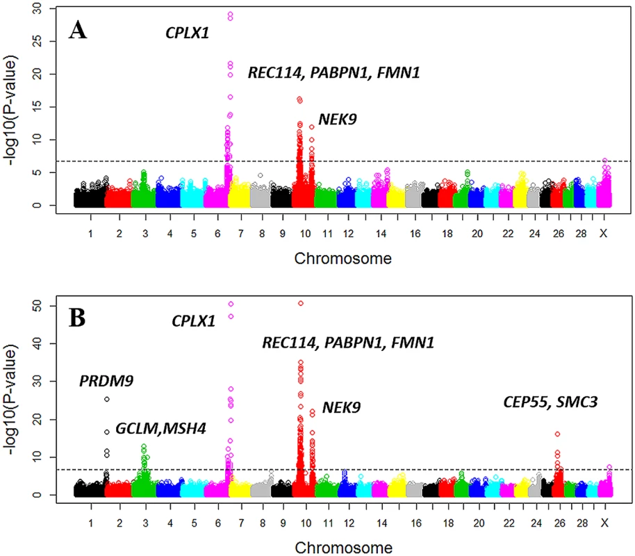 Manhattan plot of the GWAS of genome-wide recombination rates for males (A) and females (B).