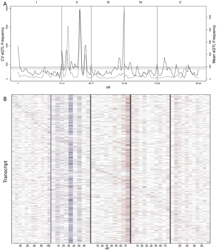 CV eQTL for Bay x Sha RIL population.