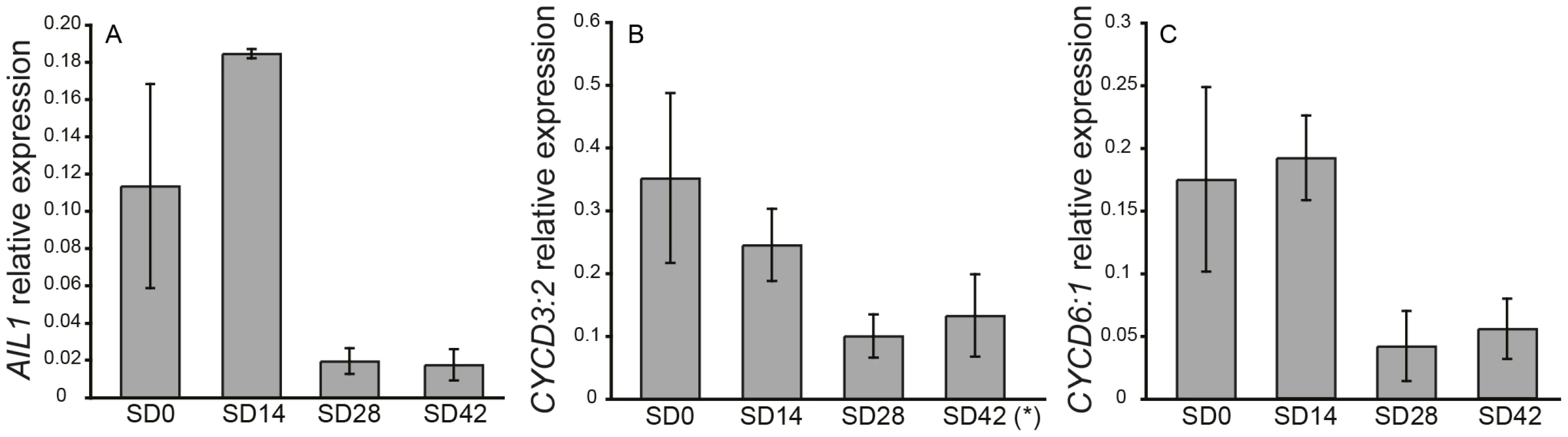 Expression of <i>AIL1</i> and D-type cyclins in the apex during short day treatment.