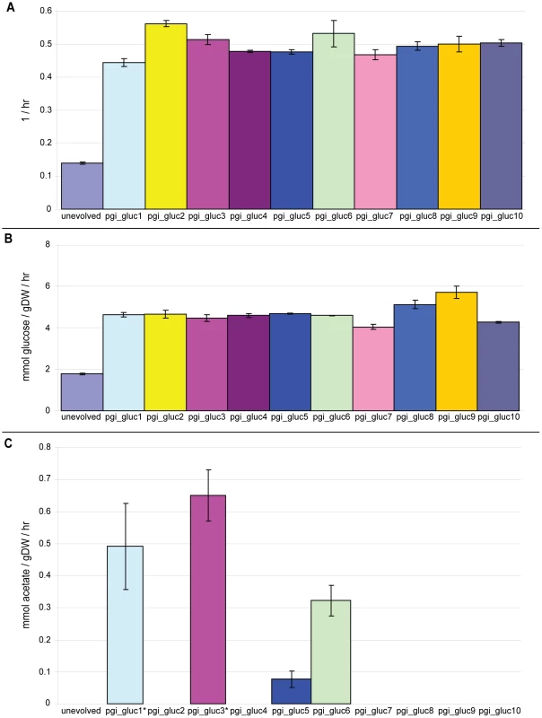 Growth rates, glucose uptake rates, and acetate secretion rates for unevolved and all evolved strains.