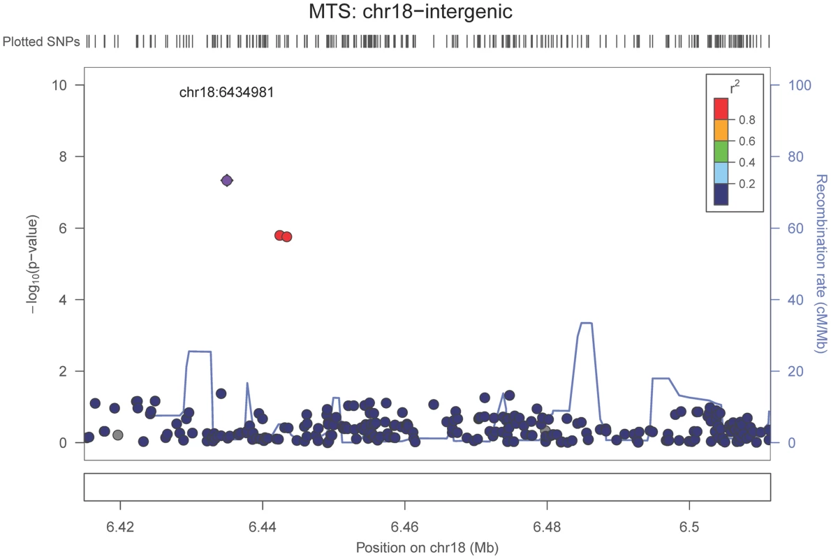 Regional association plot for the chromosome 18:6,420,000–6,520,000 region and the hippocampal sclerosis (any vs. none) analysis.