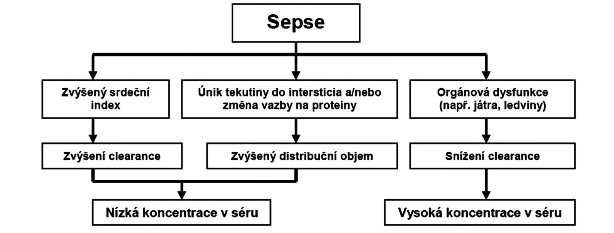 Schéma základních patofyziologických změn při sepsi a jejich vliv na farmakokinetiku