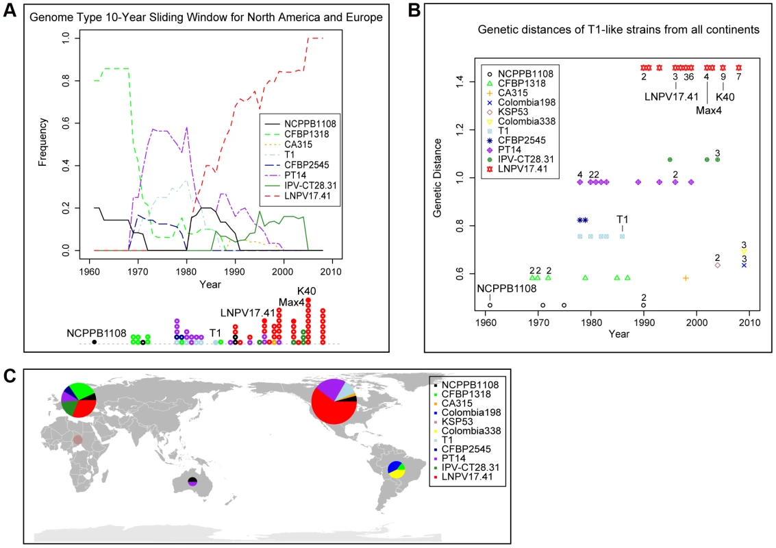 T1 genotypes change in frequency over time and genetic distances from the outgroup strain DC3000 increase over time.