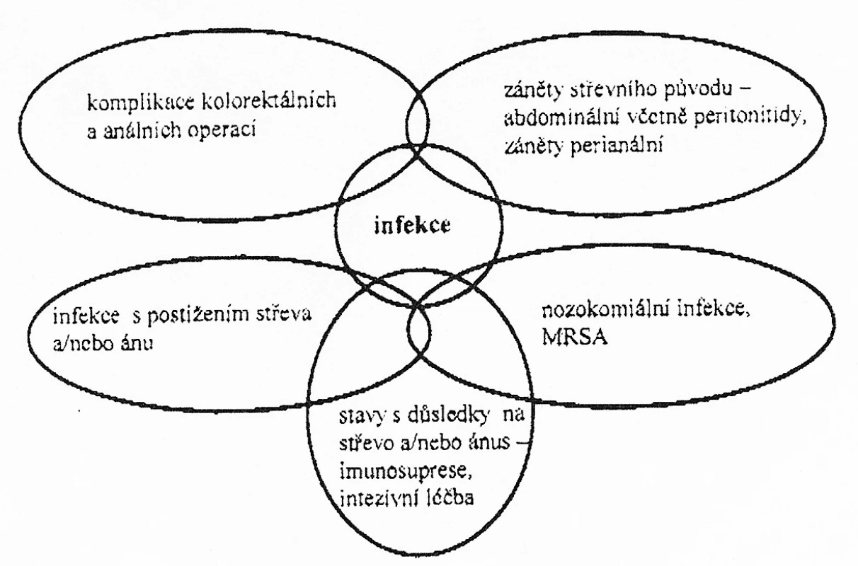 Hlavní momenty infekce v koloproktologii
Fig. 1. Principal junctions in coloproctology infections