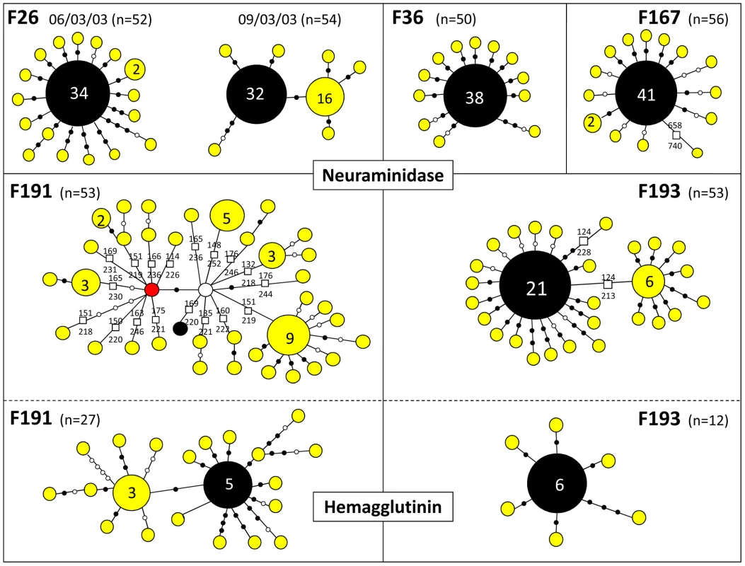 Schematic diagrams summarizing within-flock genetic diversity in 6 farm samples.