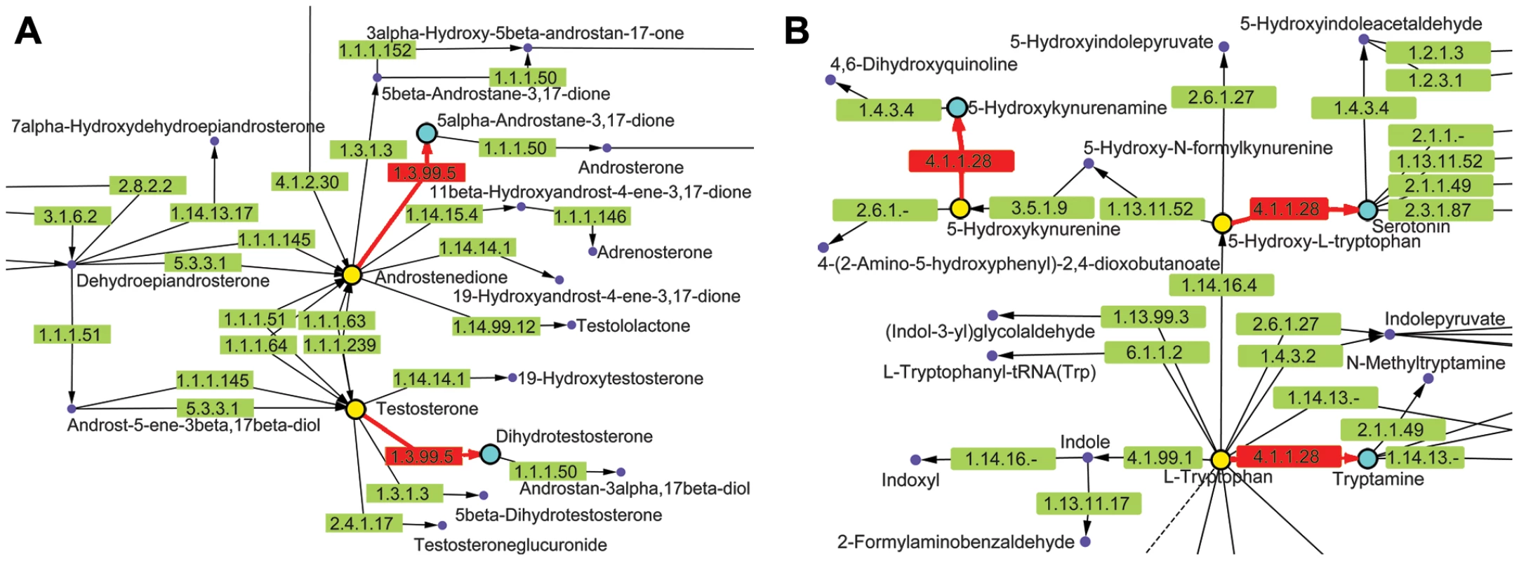 KEGG metabolic pathways containing chokepoint reactions for which a drug-like compound showed activity.