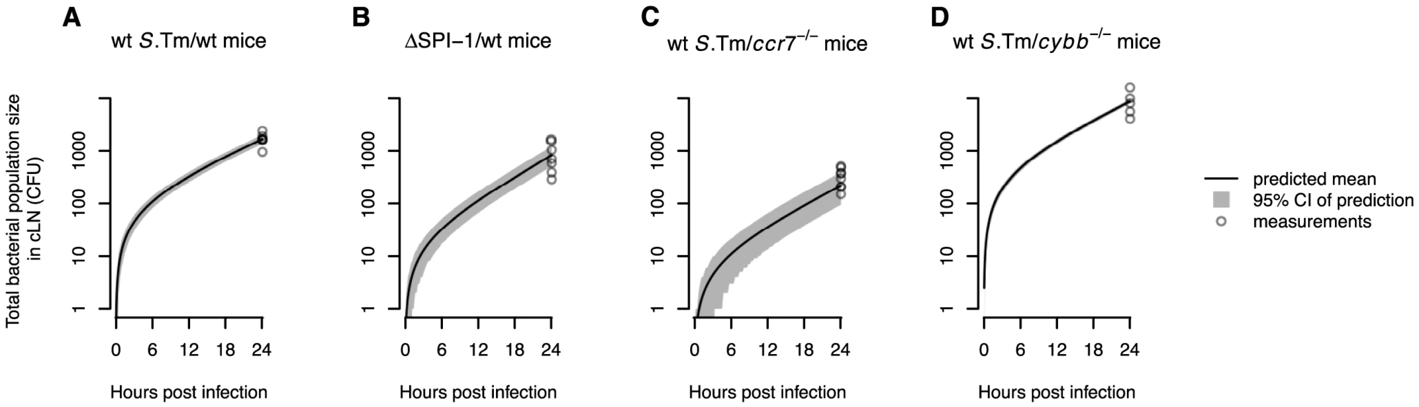 The WITS-based model predictions are consistent with the total bacterial population size measured in the cLN.