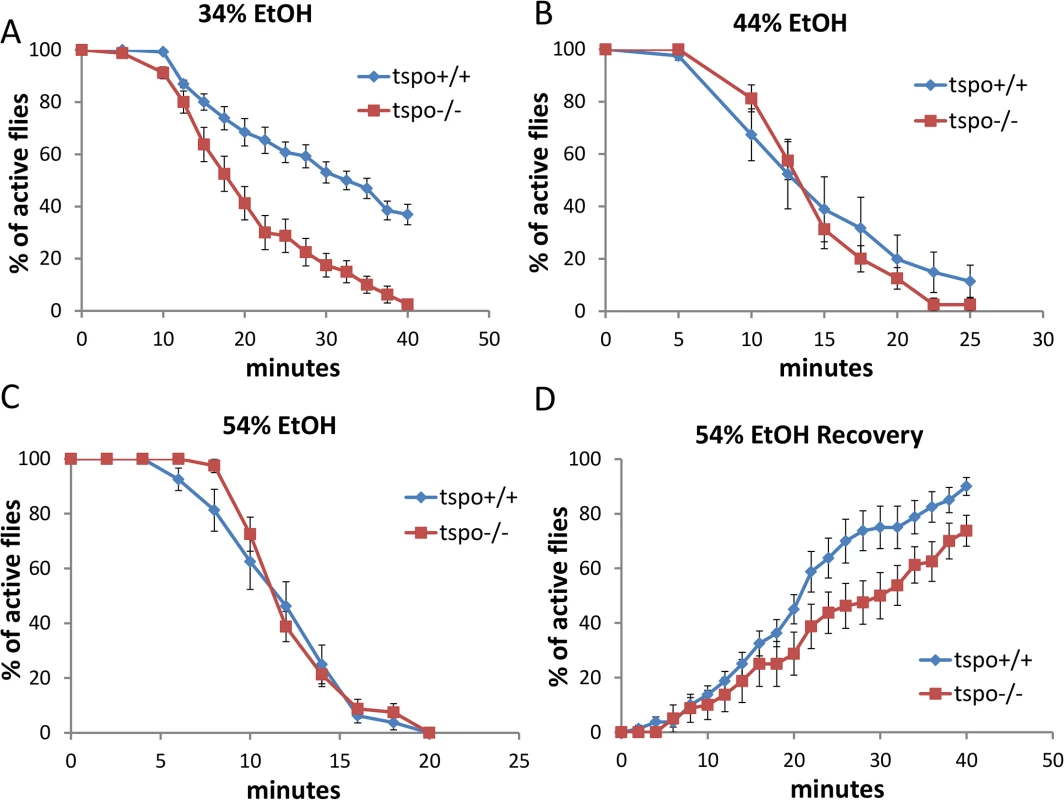 Increased ethanol sensitivity in male <i>tspo</i> mutant flies.