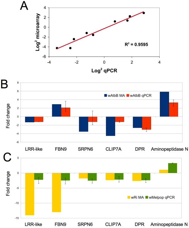 Validation of microarray data in cell culture and whole mosquitoes.