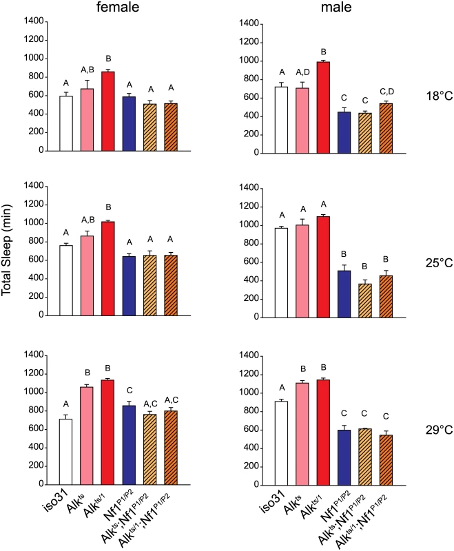 <i>Nf1</i> mutations suppress the long-sleep phenotype of <i>Alk</i> mutants.