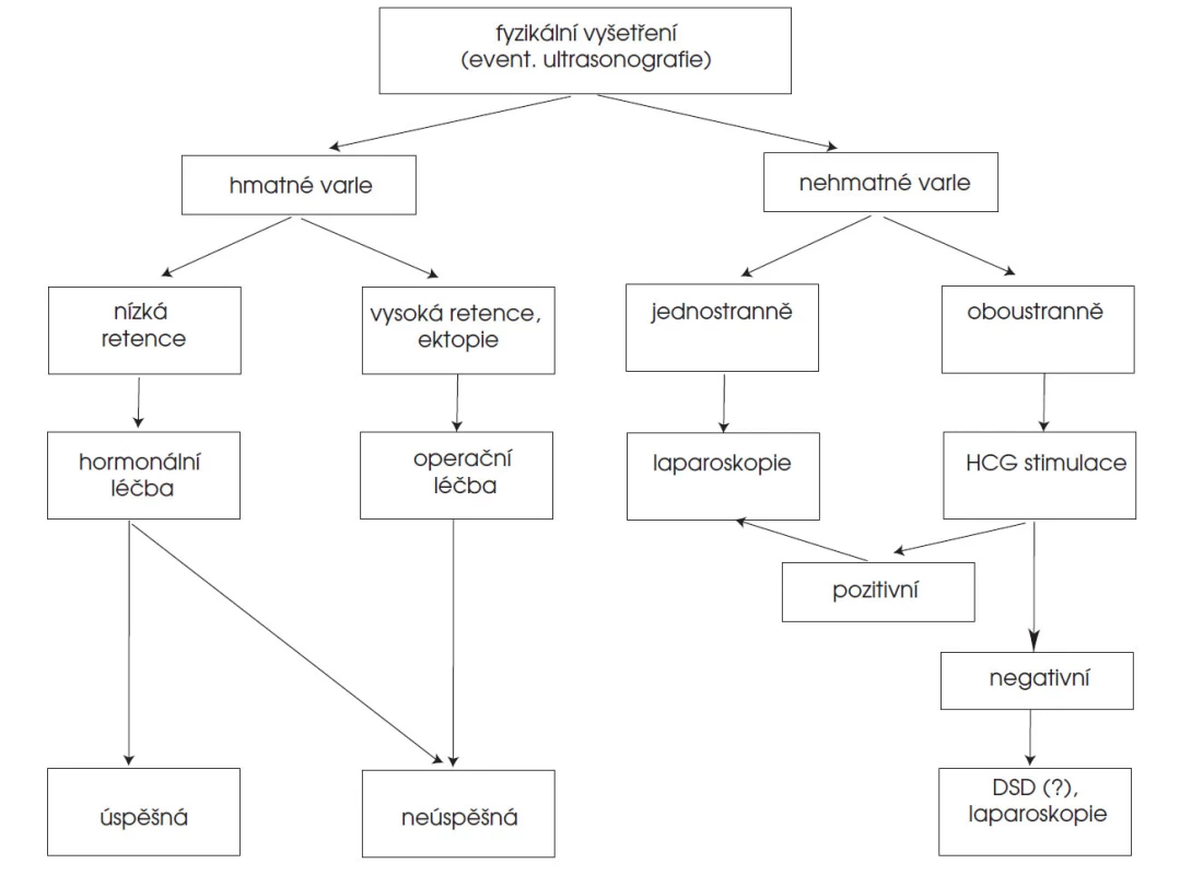 Schéma – léčebný postup u kryptorchismu podle EAU.
Zkratky – HCD (human chorionic gonadotrophin = humánní choriový gonadotropin)
DSD (disorder of sexual development = poruchy diferenciace pohlaví)