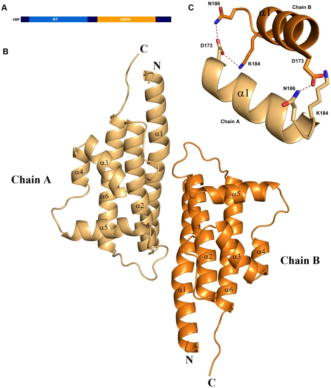 Overall structure.