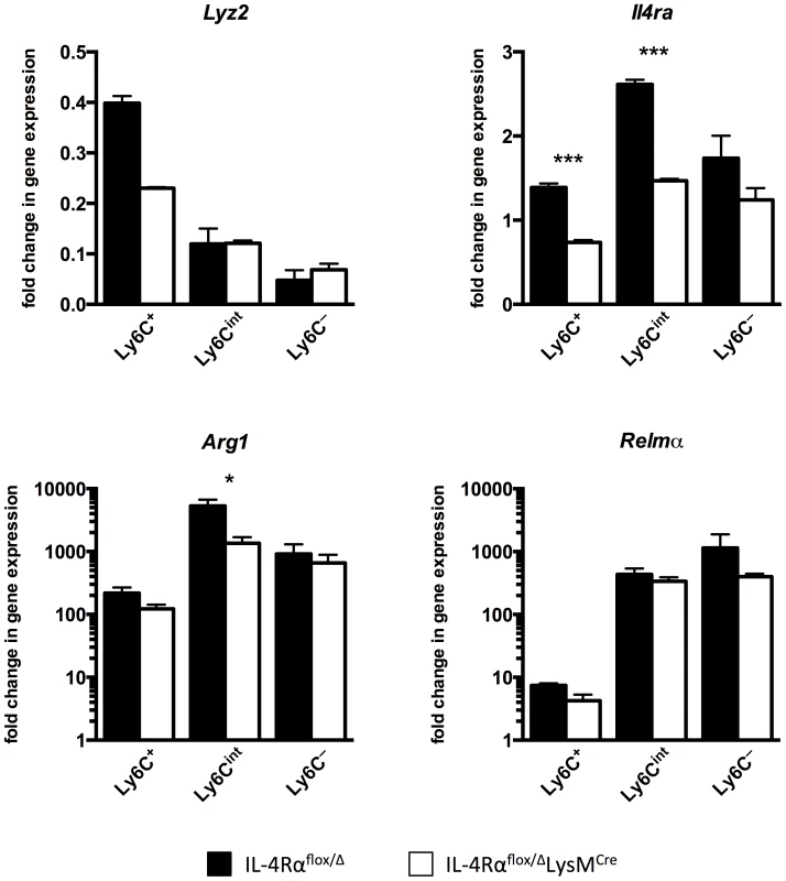 Macrophage populations in livers of <i>S. mansoni</i>-infected IL-4Rα<sup>flox/Δ</sup>LysM<sup>Cre</sup> mice express <i>Il4r</i>α and alternative activation markers.