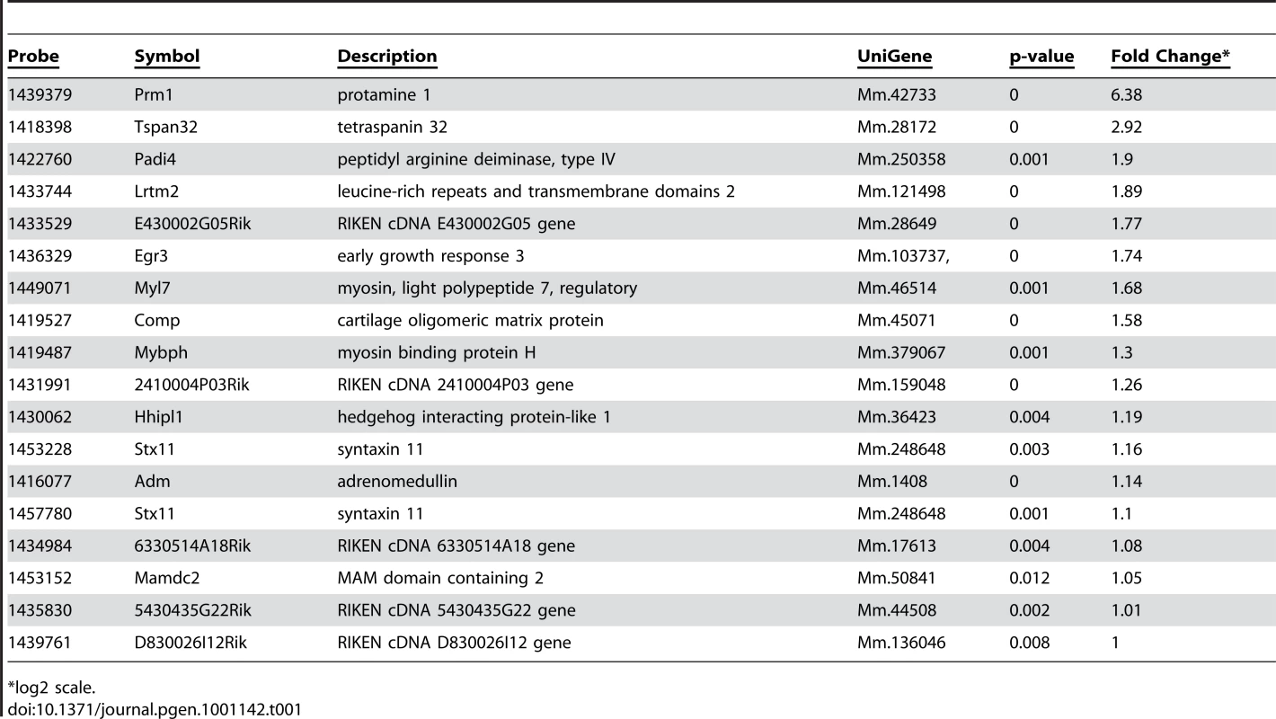 Genes Up-Regulated in PTIP− Podocyte.