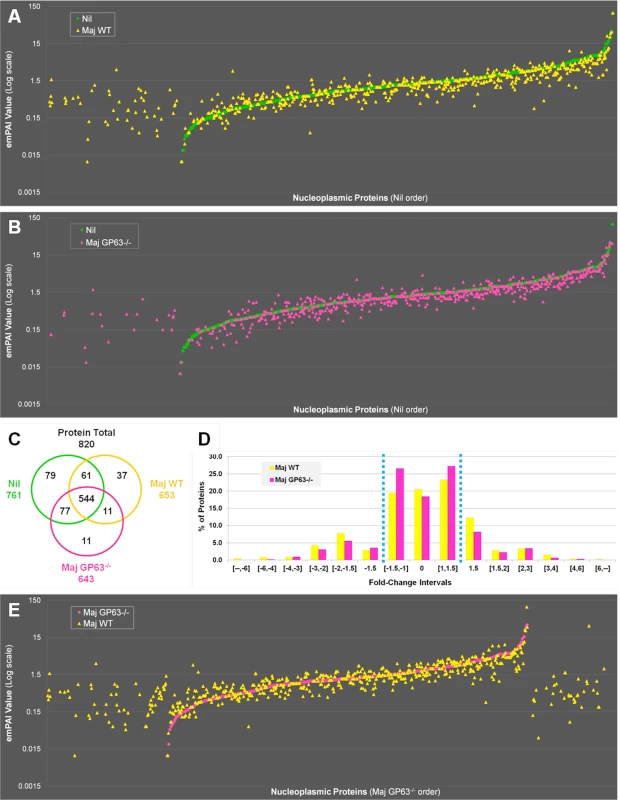 Quantitative proteomic analysis of macrophage nuclei after infection with <i>L</i>. <i>major WT</i> or <i>L</i>. <i>major</i> GP63<sup>-/-</sup>.