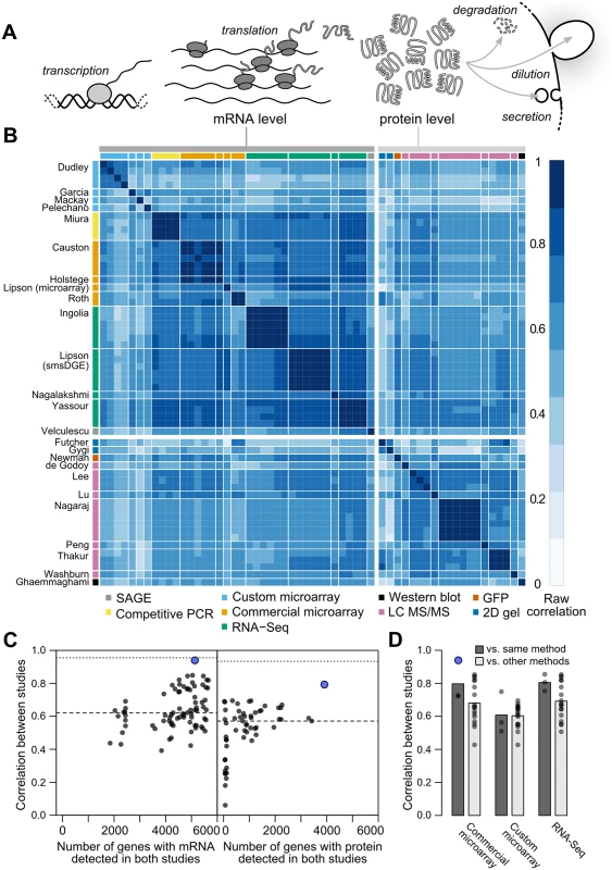 Measurements of steady-state mRNA and protein levels in budding yeast reveal wide variation in reproducibility and coverage.