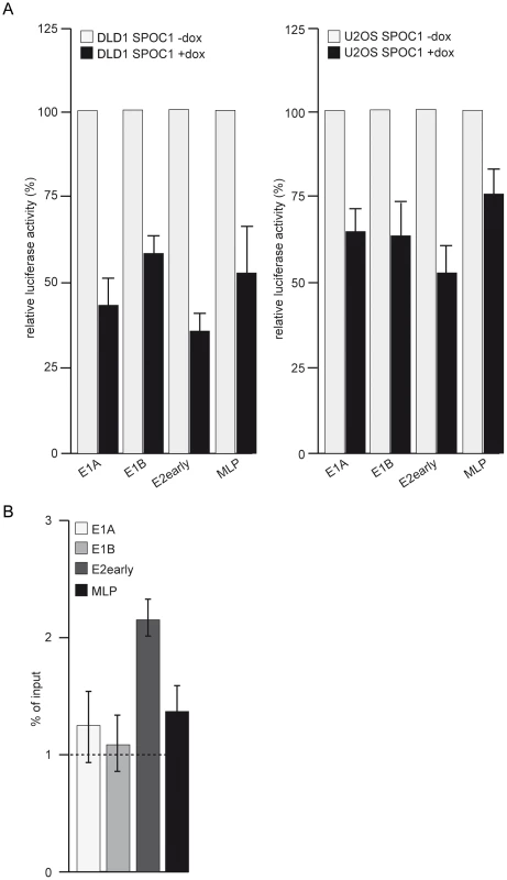 SPOC1 represses viral transcription.
