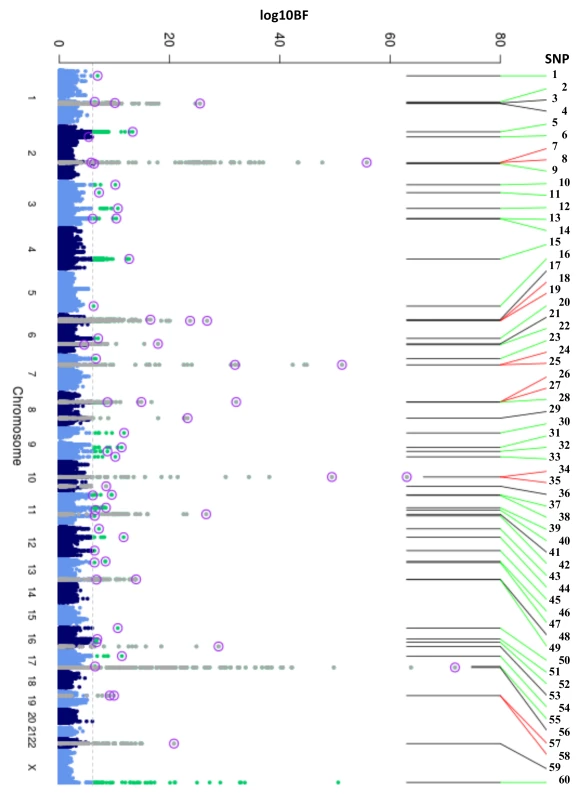 Manhattan plot of HbA1c associated variants.