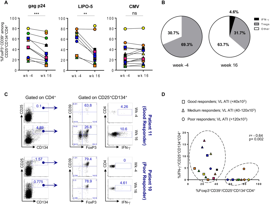 HIV-specific Tregs/Teffs ratio is affected by vaccination.