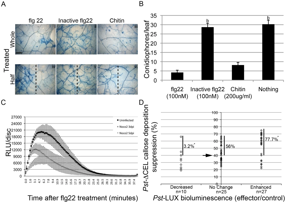 Suppression of PTI as a virulence tool for <i>Hpa</i>.