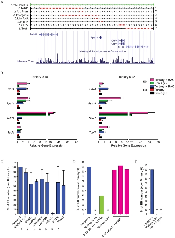 Candidate gene evaluation of DelES family 9.