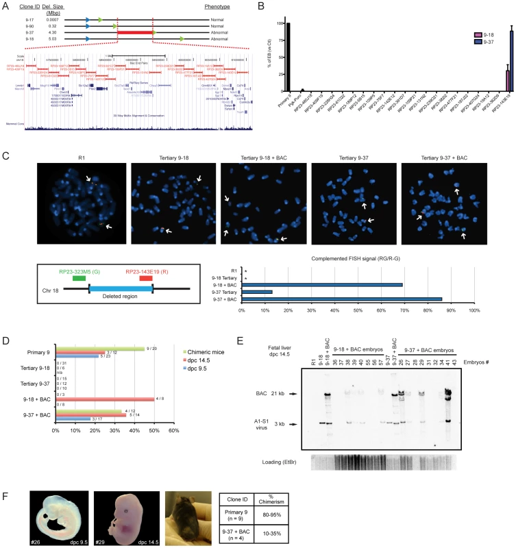 Rescue of differentiation defects of tertiary clones from DelES family 9.