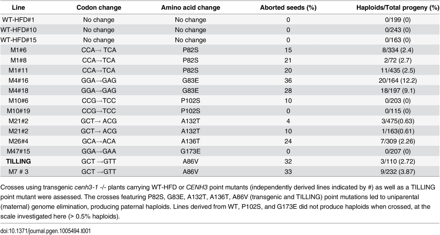 Haploid induction and seed abortion frequency of transgenic and TILLING lines used in this study.