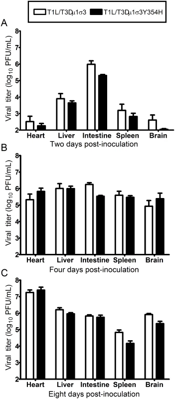 Viral loads are comparable in mice infected with reassortant viruses.